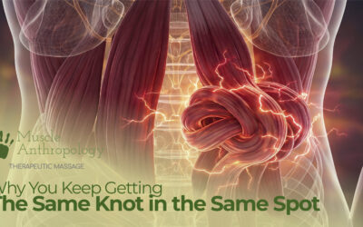 Why You Keep Getting the Same Knot in the Same Spot